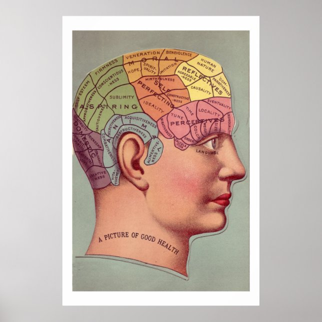 Antique Phrenology head Poster (Front)
