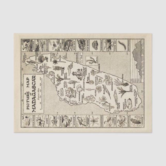 Antique Picture Map of Madagascar Tropical Island Tissue Paper (Front)