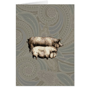 Antique Pigs Vintage piggy drawing