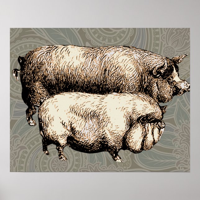 Antique Pigs Vintage piggy drawing Poster (Front)