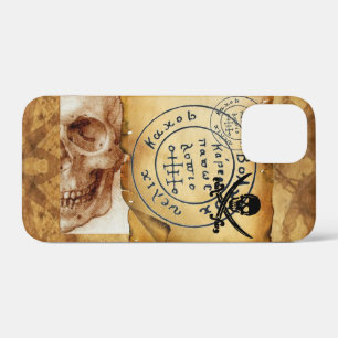 ANTIQUE  PIRATES TREASURE MAP ,SKULL AND SWORDS iPhone 12 MINI CASE