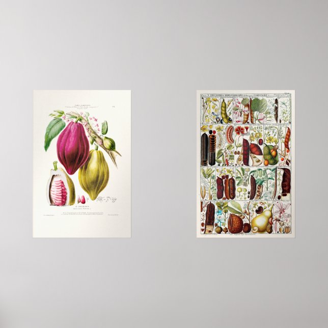 antique　plant　unique (Recto)