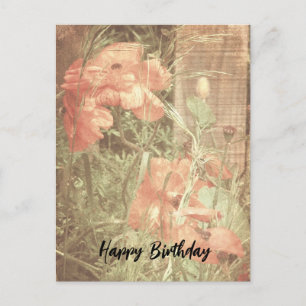 Antique Poppies Birthday Postcard