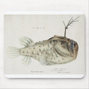 Antique Prickly anglerfish drawn by Fe. Clarke Mouse Pad