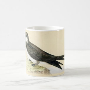 Antique Print of a Alpine Swift Coffee Mug