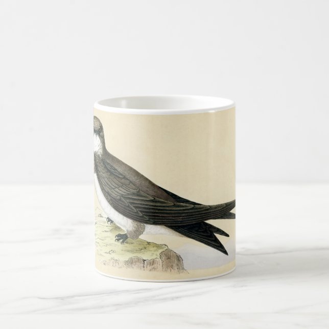Antique Print of a Alpine Swift Coffee Mug (Center)