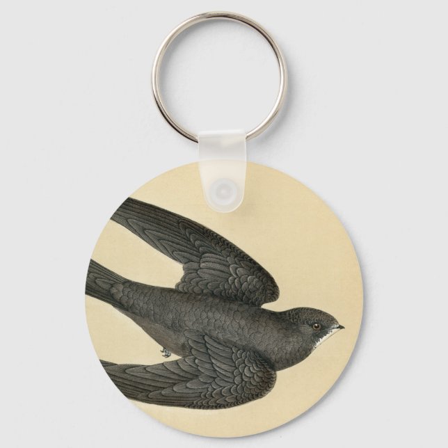Antique Print of a Swift Keychain (Front)