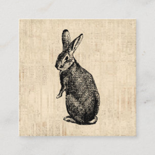 Antique Rabbit Illustration Bunny Art with Script Enclosure Card