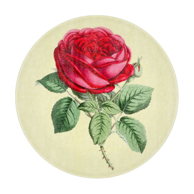 Antique Red Rose  Cutting Board (Front)