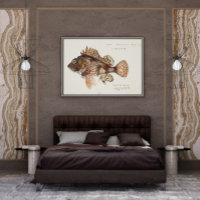 Antique Red Scorpion by F. E. Clarke 1874