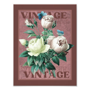 Antique Red Vintage Heirloom Rose Fine Art Print