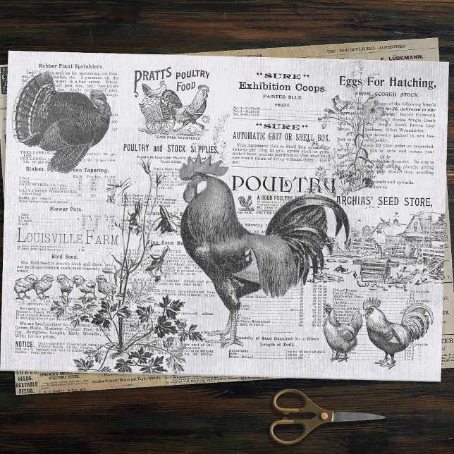 Antique Rooster Horticulture Ads Ephemera Grey Tissue Paper (Creator Uploaded)