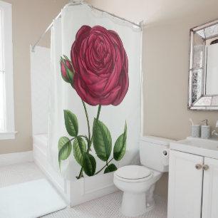 Antique Rose Lithograph, François-Frédéric Grobon