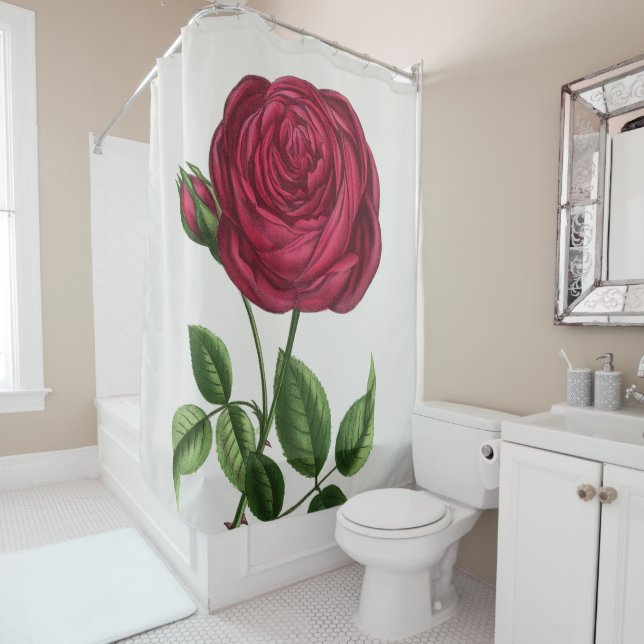 Antique Rose Lithograph, François-Frédéric Grobon (In Situ)