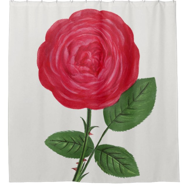 Antique Rose Lithograph, François-Frédéric Grobon (Front)