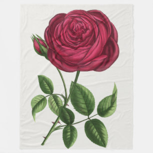 Antique Rose Lithograph, François-Frédéric Grobon Fleece Blanket