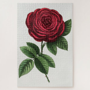 Antique Rose Lithograph, François-Frédéric Grobon Jigsaw Puzzle