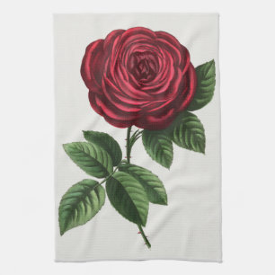 Antique Rose Lithograph, François-Frédéric Grobon Kitchen Towel