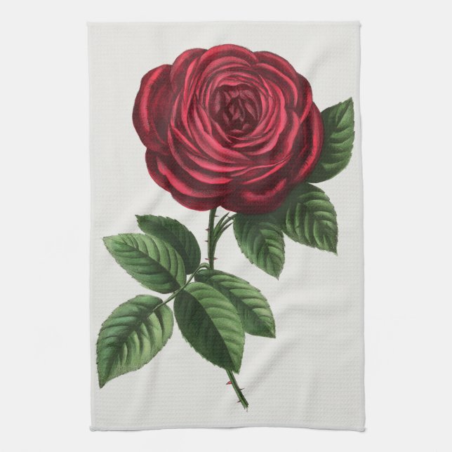 Antique Rose Lithograph, François-Frédéric Grobon Kitchen Towel (Vertical)