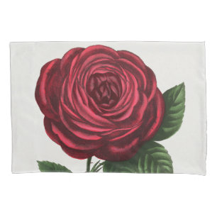Antique Rose Lithograph, François-Frédéric Grobon Pillowcase