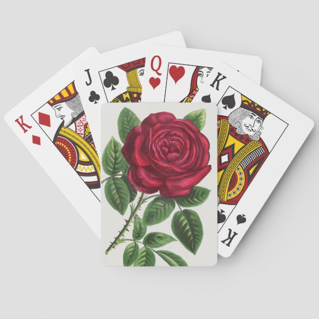 Antique Rose Lithograph, François-Frédéric Grobon Playing Cards (Back)