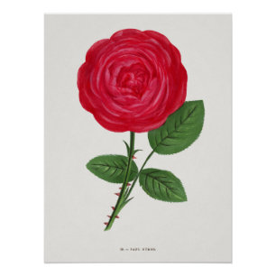 Antique Rose Lithograph, François-Frédéric Grobon Poster