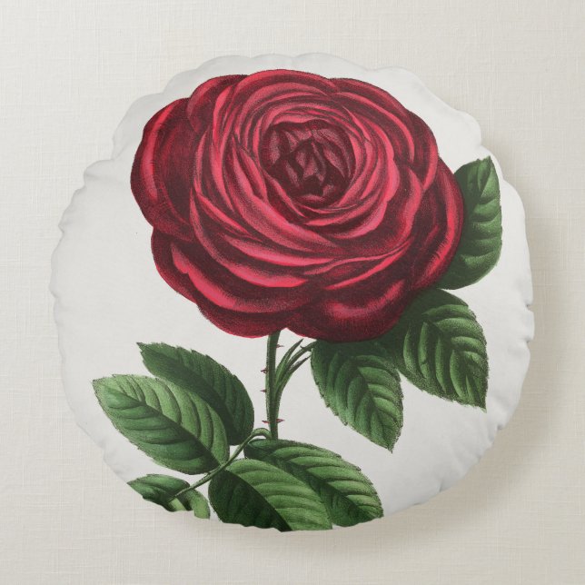 Antique Rose Lithograph, François-Frédéric Grobon Round Pillow (Front)