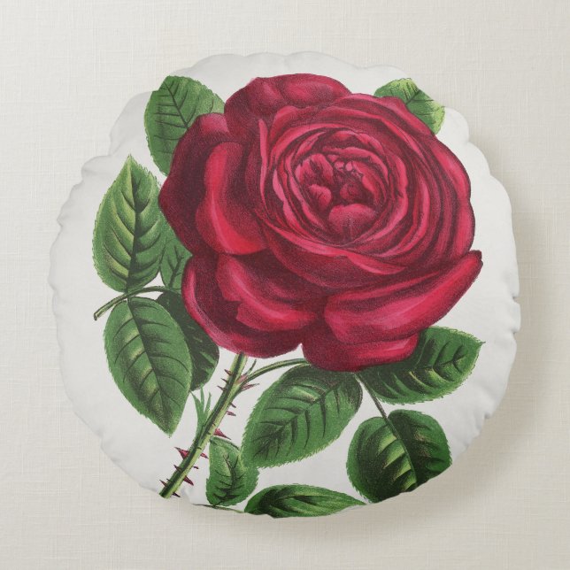 Antique Rose Lithograph, François-Frédéric Grobon Round Pillow (Front)