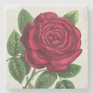 Antique Rose Lithograph, François-Frédéric Grobon Stone Coaster
