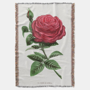 Antique Rose Lithograph, François-Frédéric Grobon Throw Blanket