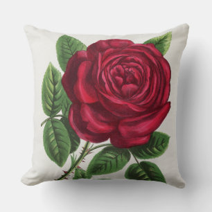 Antique Rose Lithograph, François-Frédéric Grobon Throw Pillow