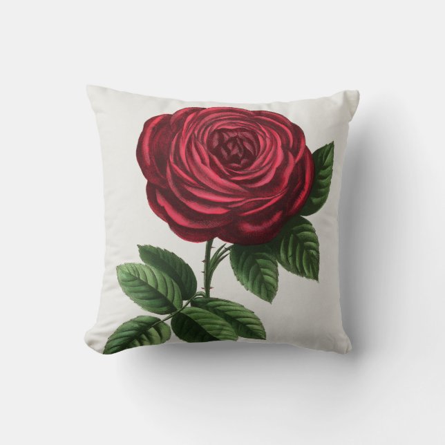 Antique Rose Lithograph, François-Frédéric Grobon Throw Pillow (Front)