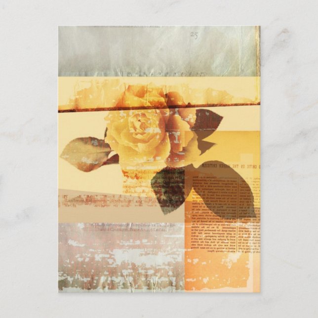 Antique Rose Postcard (Front)