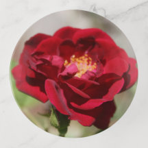 Antique Rose Trinket Tray
