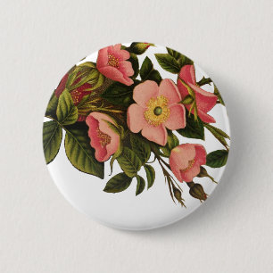 Antique Rose Vintage Flower Illustration Art 2 Inch Round Button