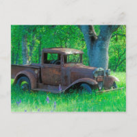 Antique rusted truck in a meadow