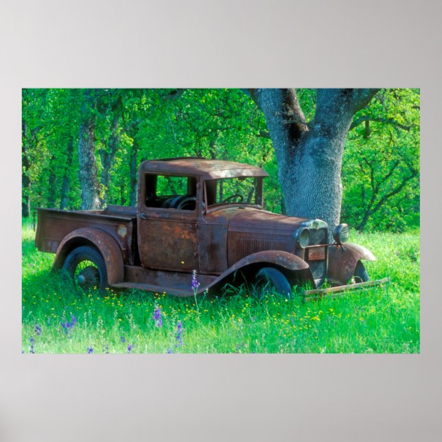 Antique rusted truck in a meadow poster (Front)