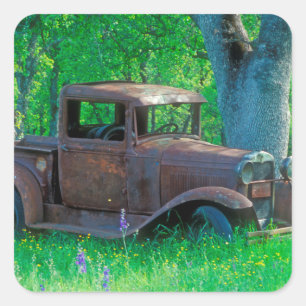Antique rusted truck in a meadow square sticker