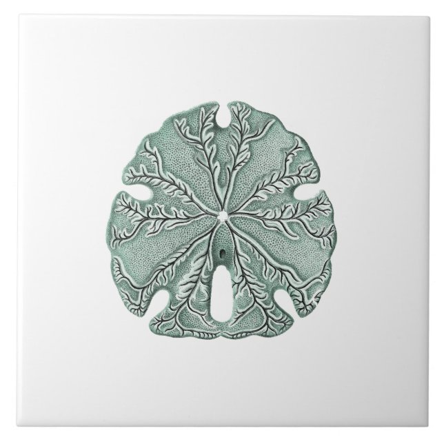 Antique Sea Sand Dollar Illustration Tile (Front)