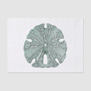 Antique Sea Sand Dollar Illustration Tissue Paper