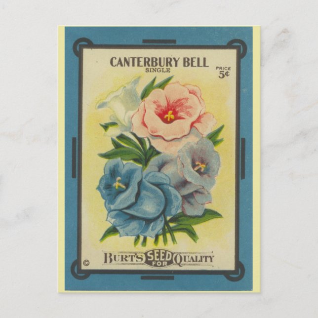 Antique Seed Packet Canterbury Bells Postcard (Front)