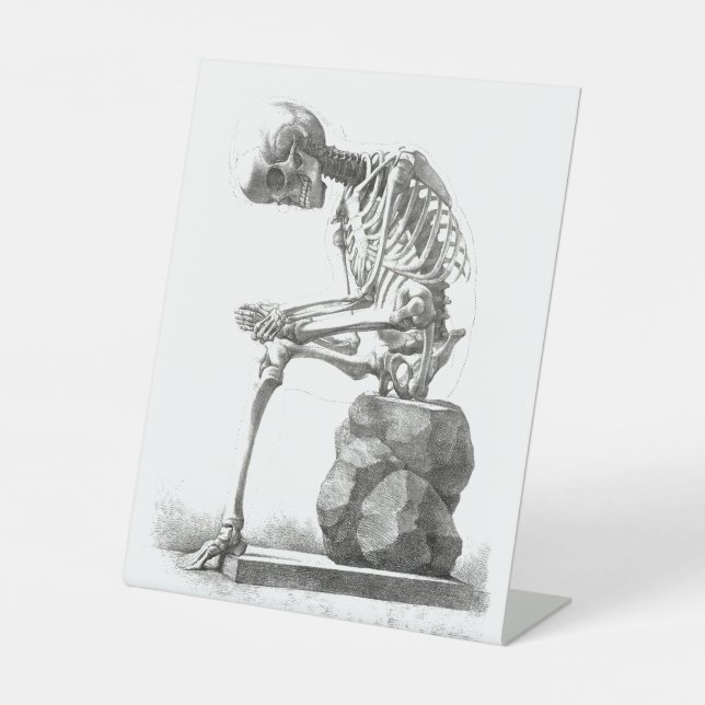Antique Skeleton Anatomy: Gothic Halloween Medical Pedestal Sign (Front)