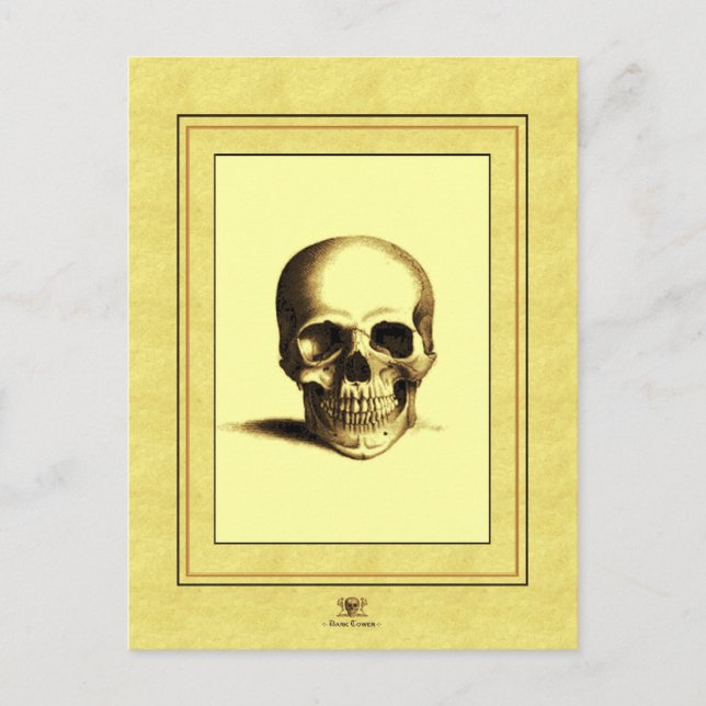 Antique Skull Postcard (Front)