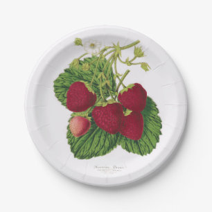 Antique Strawberry Picnic Paper Plate