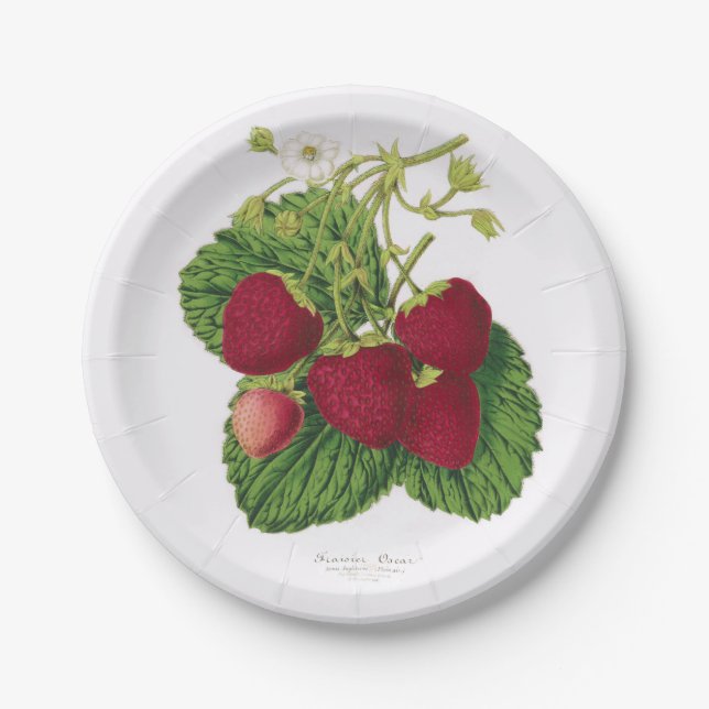 Antique Strawberry Picnic Paper Plate (Front)