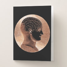 Antique Style Golden Mind Phrenology head Cranium