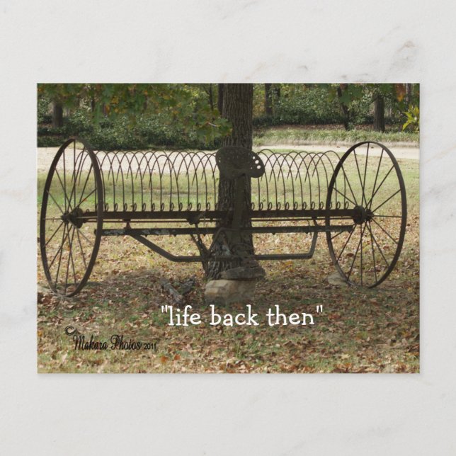 antique sulky hay rake postcard 2- customize (Front)