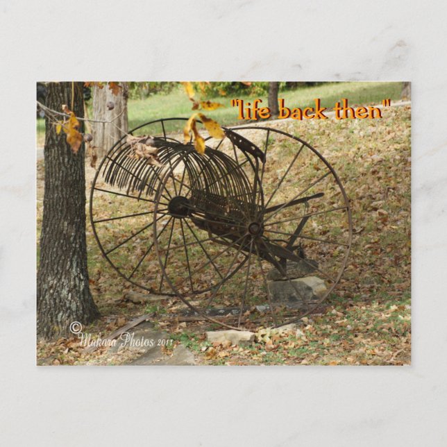 antique sulky hay rake postcard- customize postcard (Front)