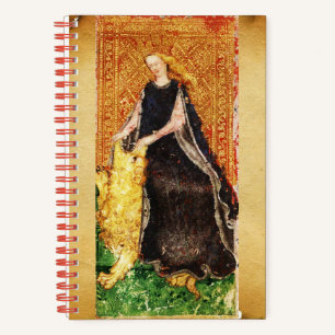 ANTIQUE TAROTS / FORTITUDE AND DEVIL TAROT NOTEBOOK