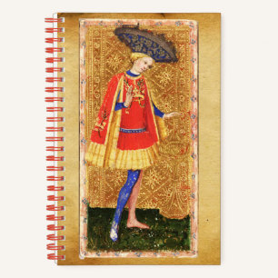 ANTIQUE TAROTS PAGE AND KNIGHT OF CUPS NOTEBOOK